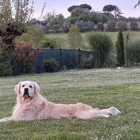 Montepulciano - La Casetta Del Pian Delle Noci Acquaviva  Dış mekan fotoğraf
