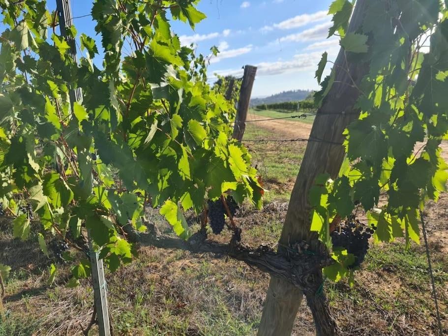 Montepulciano - La Casetta Del Pian Delle Noci Acquaviva  Dış mekan fotoğraf