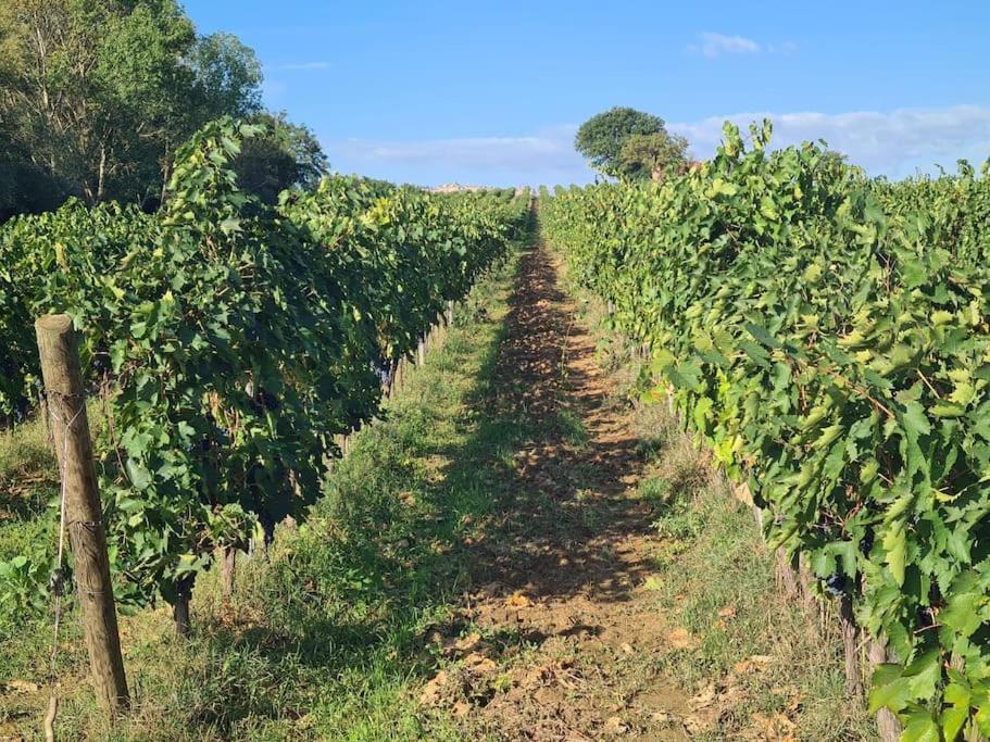 Montepulciano - La Casetta Del Pian Delle Noci Acquaviva  Dış mekan fotoğraf