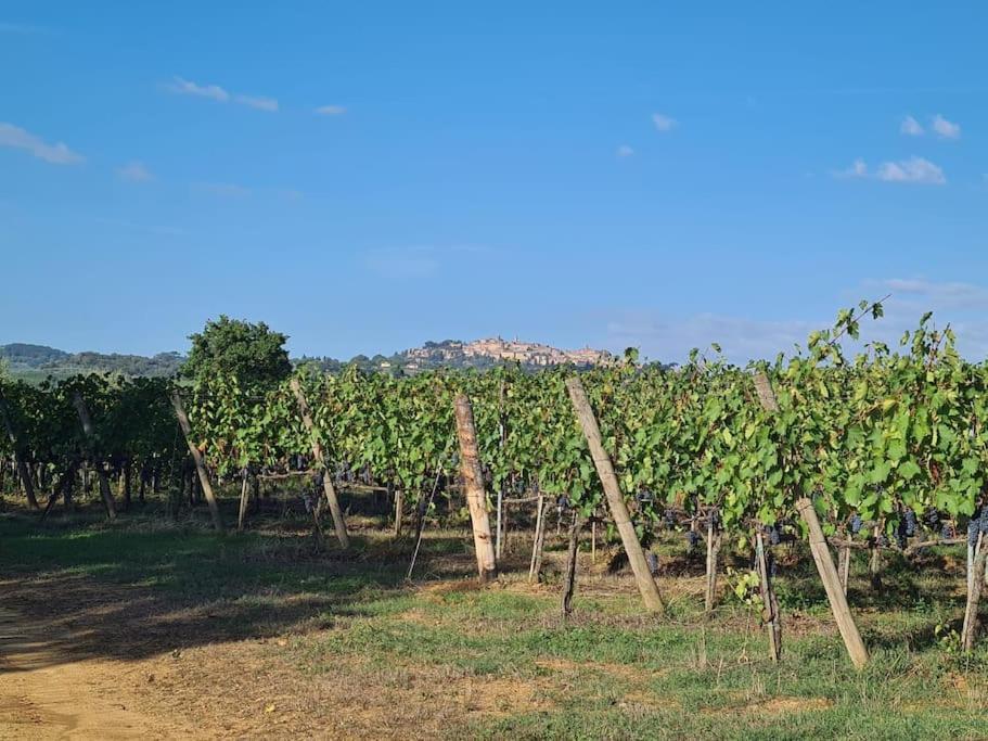 Montepulciano - La Casetta Del Pian Delle Noci Acquaviva  Dış mekan fotoğraf