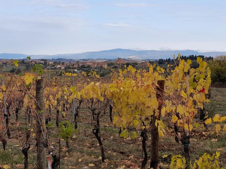 Montepulciano - La Casetta Del Pian Delle Noci Acquaviva  Dış mekan fotoğraf