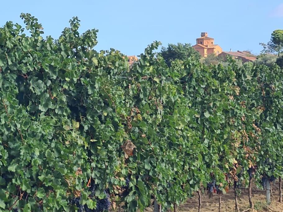 Montepulciano - La Casetta Del Pian Delle Noci Acquaviva  Dış mekan fotoğraf