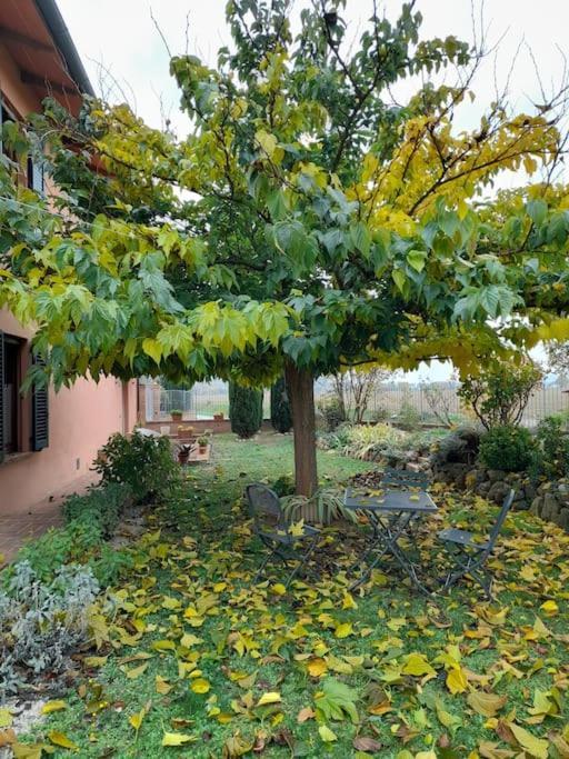 Montepulciano - La Casetta Del Pian Delle Noci Acquaviva  Dış mekan fotoğraf