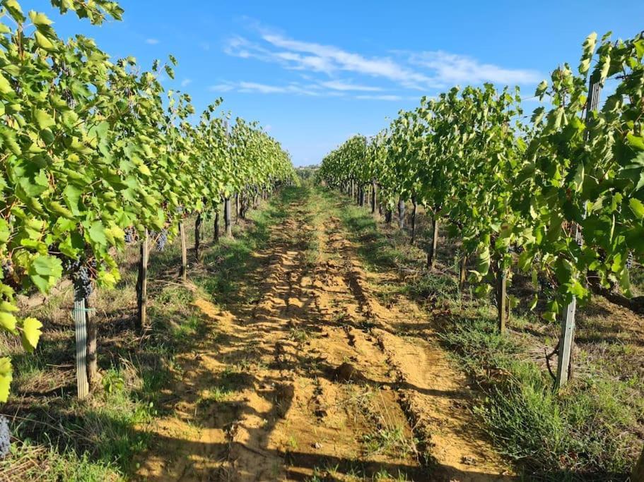 Montepulciano - La Casetta Del Pian Delle Noci Acquaviva  Dış mekan fotoğraf