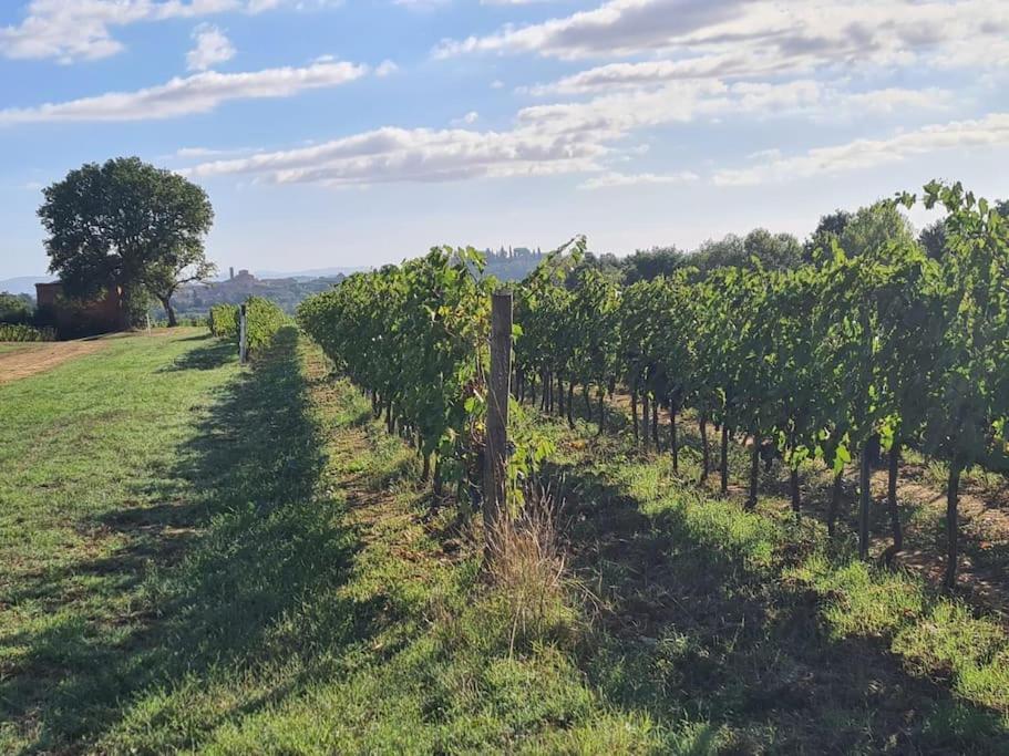 Montepulciano - La Casetta Del Pian Delle Noci Acquaviva  Dış mekan fotoğraf