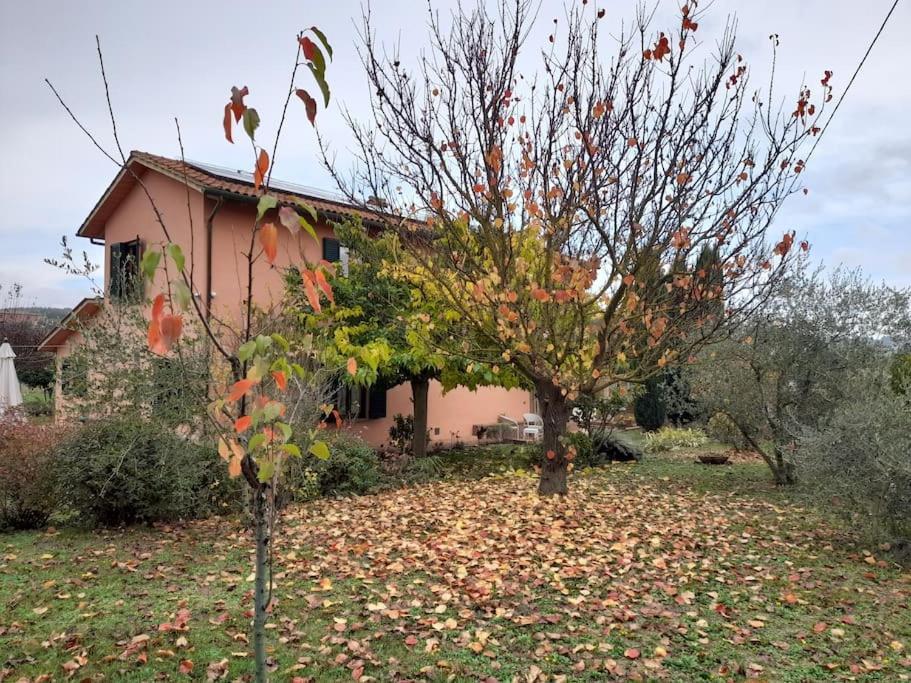 Montepulciano - La Casetta Del Pian Delle Noci Acquaviva  Dış mekan fotoğraf