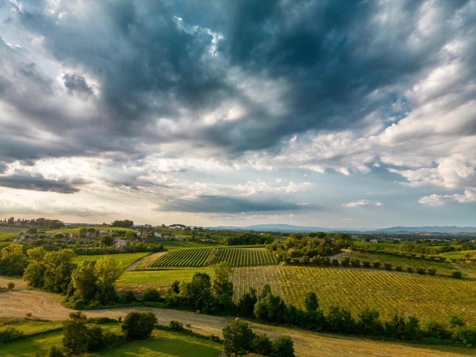 Montepulciano - La Casetta Del Pian Delle Noci Acquaviva  Dış mekan fotoğraf
