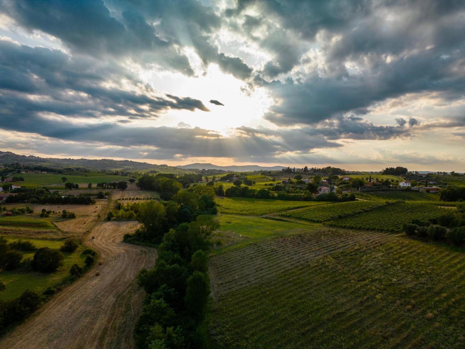 Montepulciano - La Casetta Del Pian Delle Noci Acquaviva  Dış mekan fotoğraf