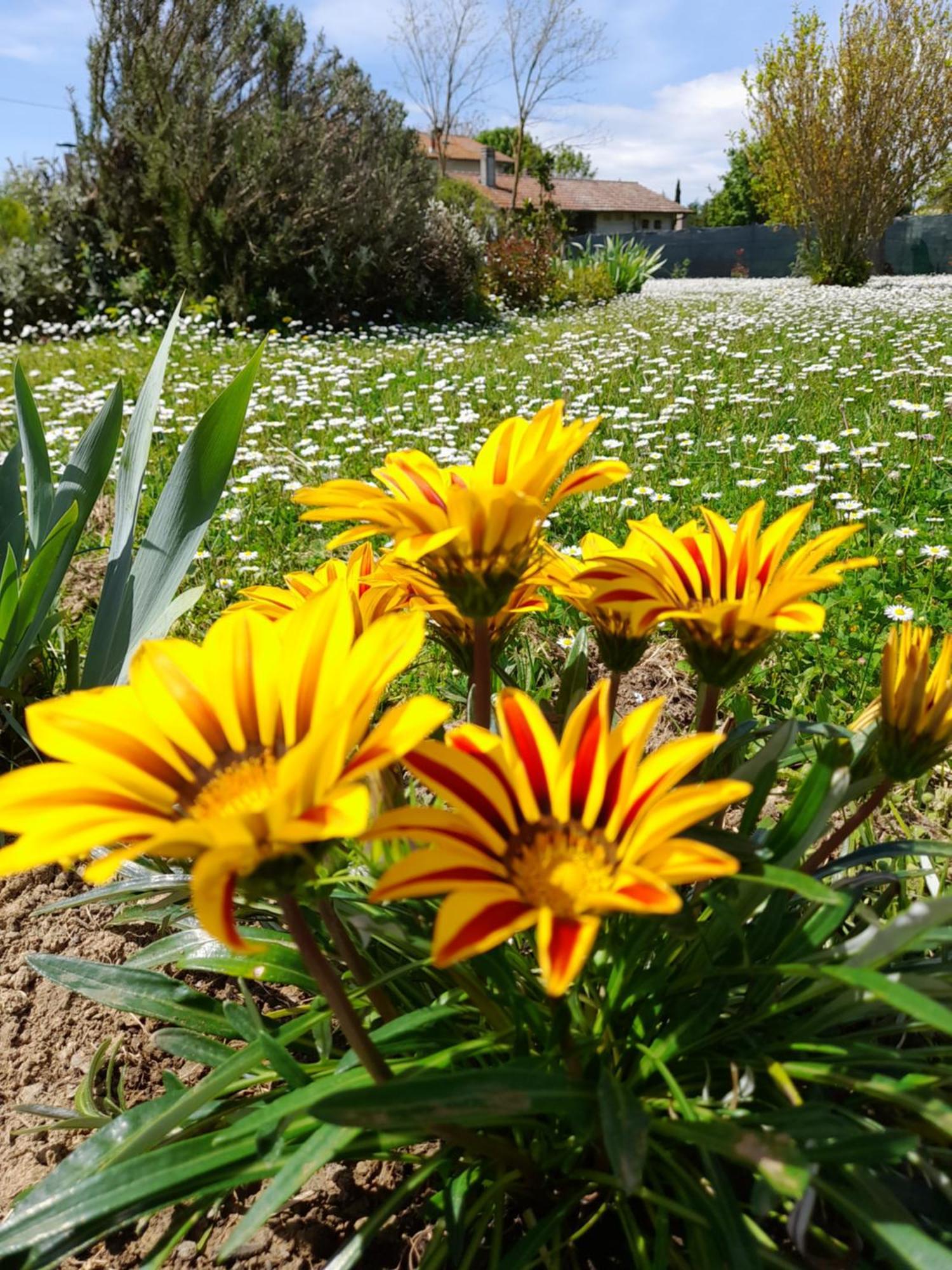 Montepulciano - La Casetta Del Pian Delle Noci Acquaviva  Dış mekan fotoğraf