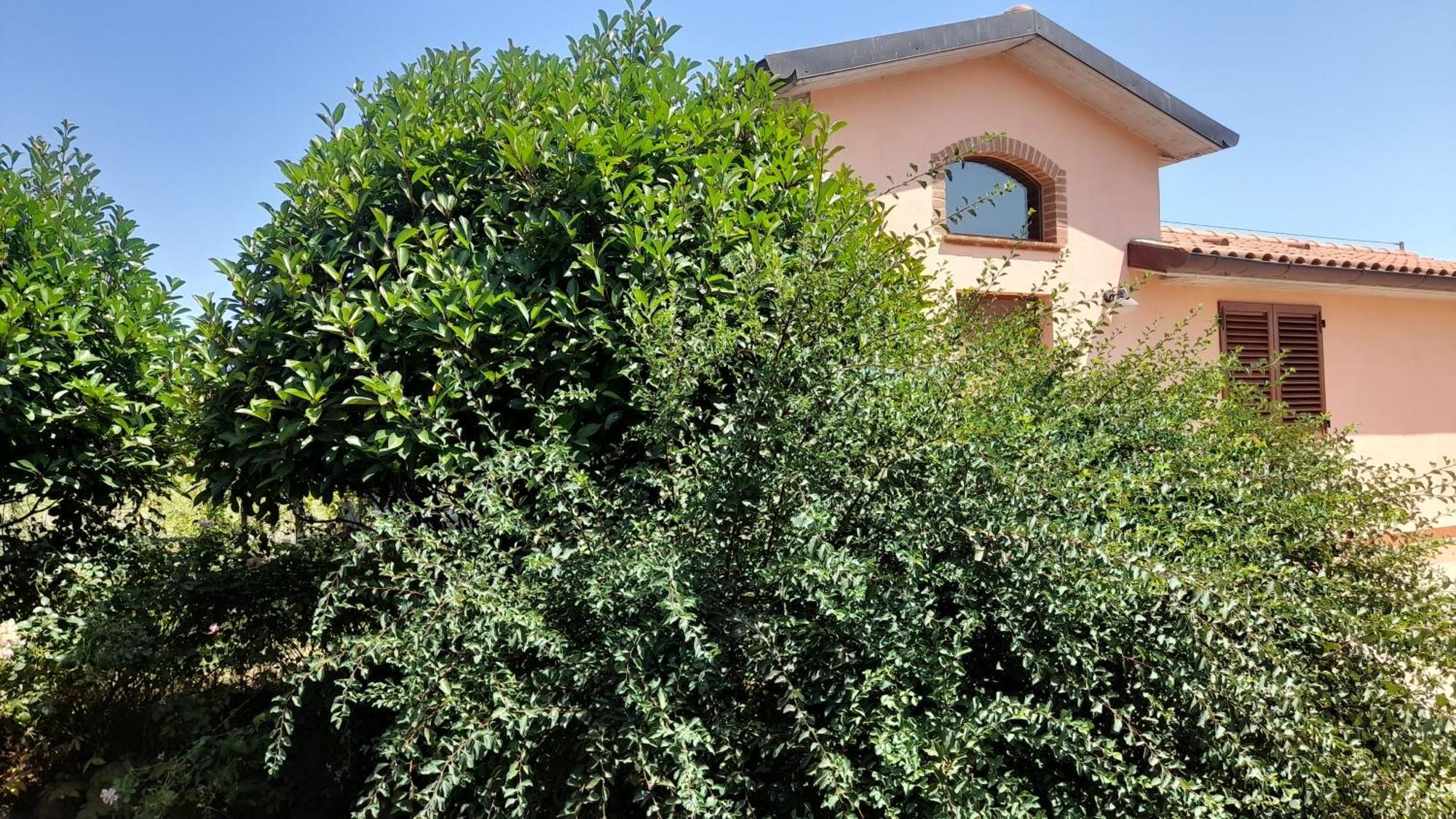 Montepulciano - La Casetta Del Pian Delle Noci Acquaviva  Dış mekan fotoğraf