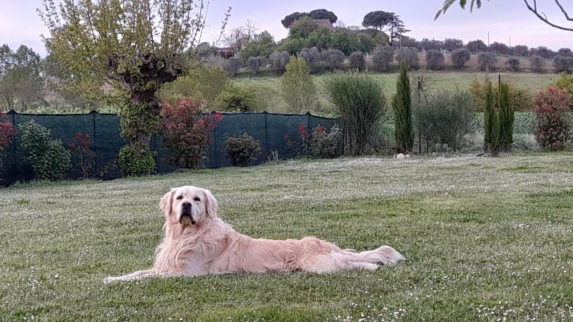 Montepulciano - La Casetta Del Pian Delle Noci Acquaviva  Dış mekan fotoğraf